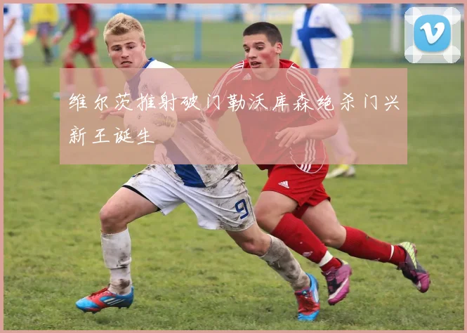 维尔茨推射破门勒沃库森绝杀门兴新王诞生