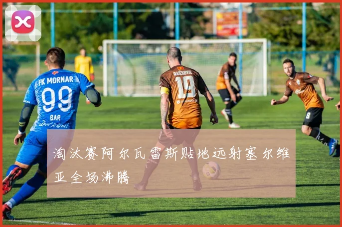 淘汰赛阿尔瓦雷斯贴地远射塞尔维亚全场沸腾