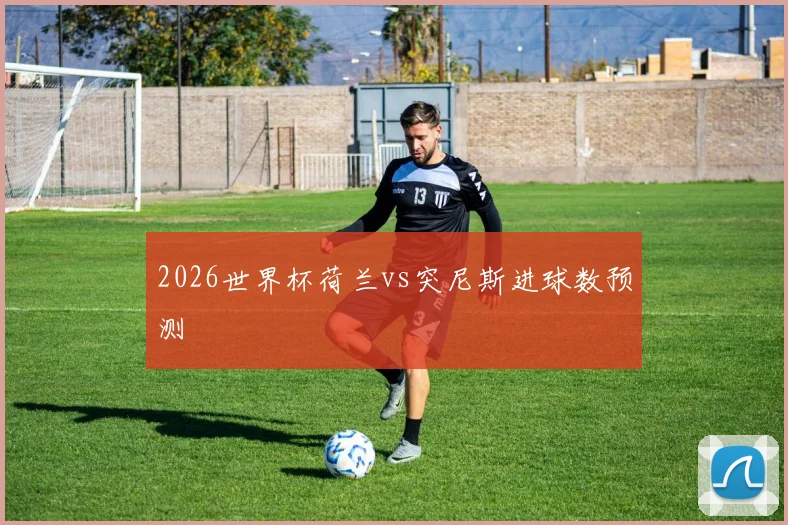 2026世界杯荷兰vs突尼斯进球数预测