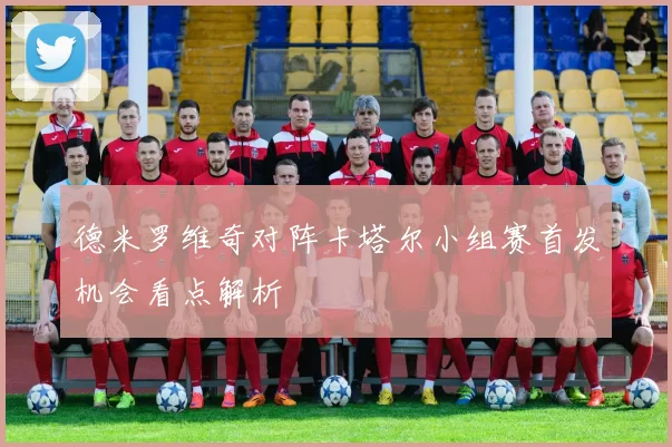 德米罗维奇对阵卡塔尔小组赛首发机会看点解析