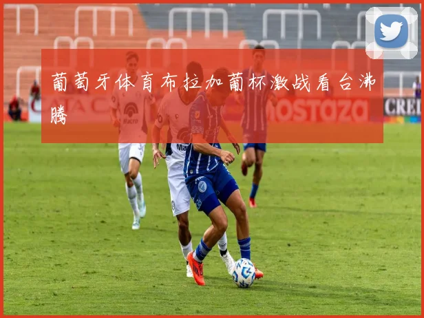 葡萄牙体育布拉加葡杯激战看台沸腾