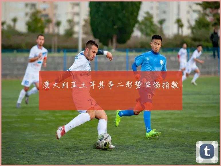 澳大利亚土耳其争二形势临场指数