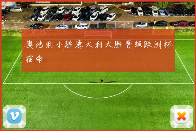 奥地利小胜意大利大胜晋级欧洲杯宿命