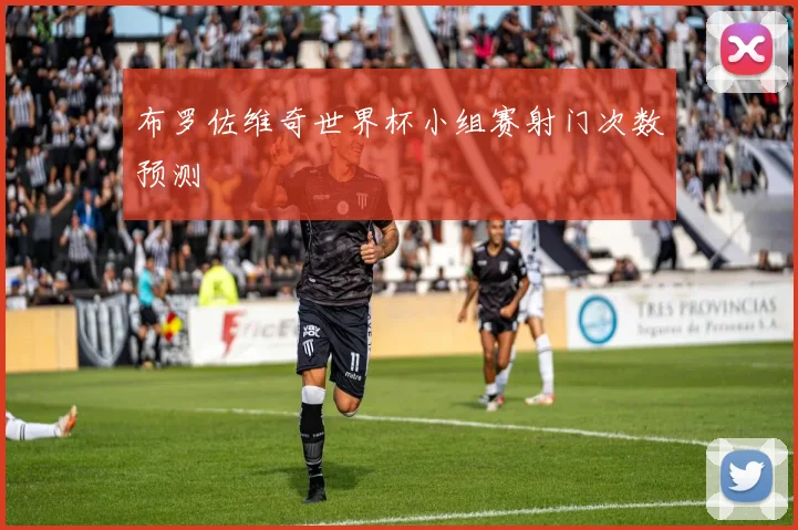 布罗佐维奇世界杯小组赛射门次数预测